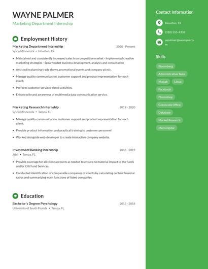 Resume example 5