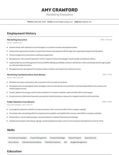 Resume example 2