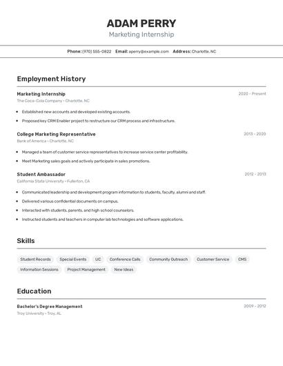 Resume example 2