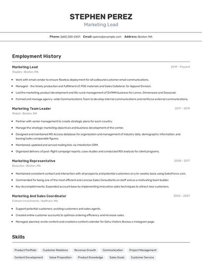 Resume example 2