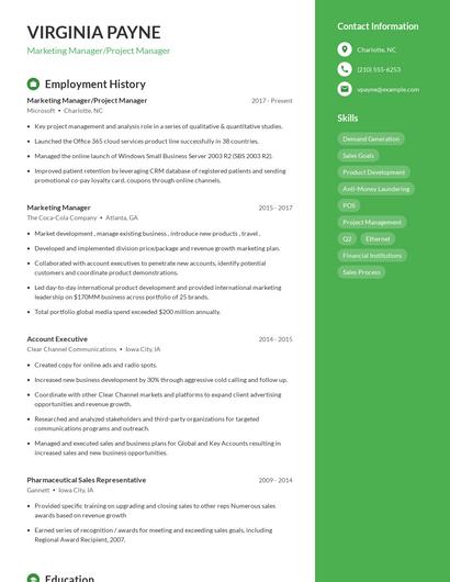 Resume example 4