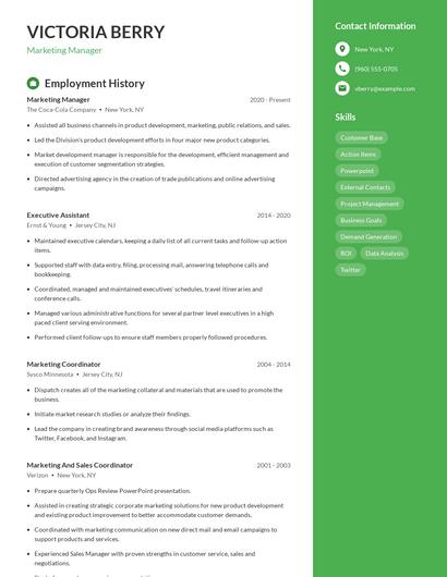 Resume example 4