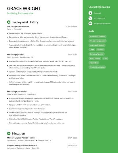 Resume example 5