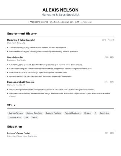 Resume example 2