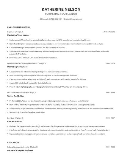 Marketing Team Leader Resume