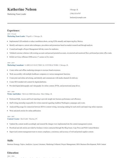 Marketing Team Leader Resume