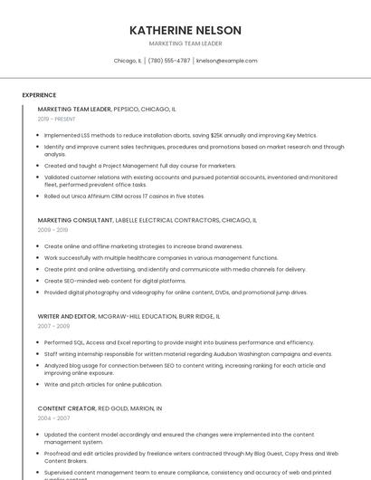 Marketing Team Leader Resume