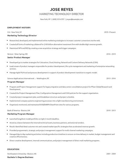 Marketing Technology Director Resume