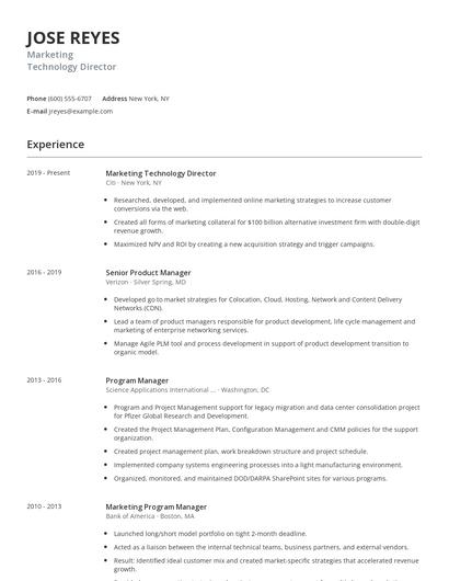 Marketing Technology Director Resume