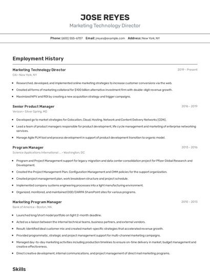 Marketing Technology Director Resume