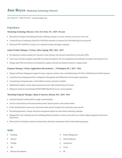Marketing Technology Director Resume