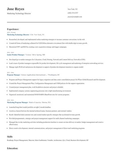 Marketing Technology Director Resume