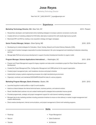 Marketing Technology Director Resume
