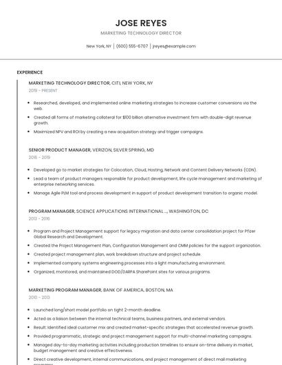 Marketing Technology Director Resume