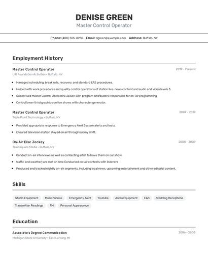 Resume example 2