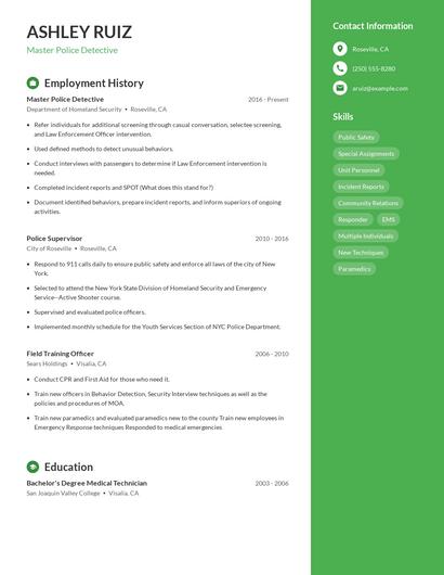 Master Police Detective Resume