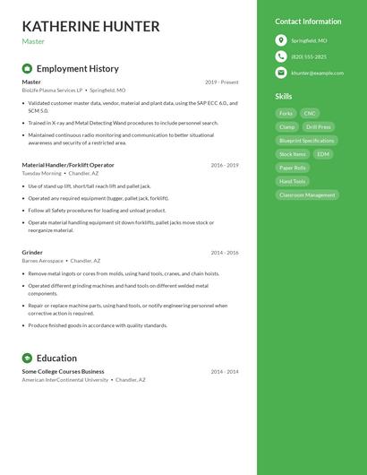 Resume example 5