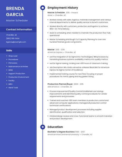 Resume example 5