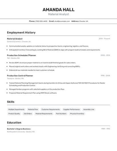 Resume example 2