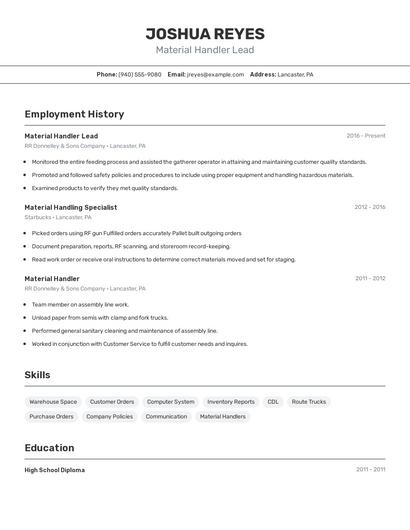 Resume example 2