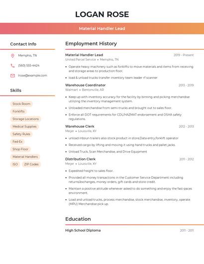 Resume example 3