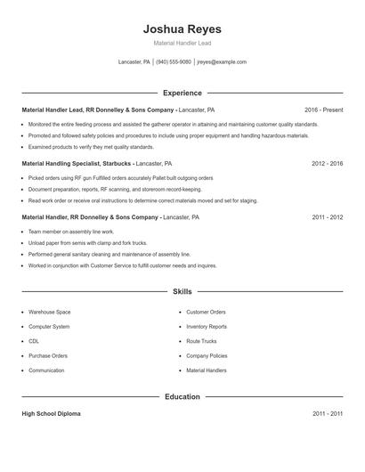 Resume example 1