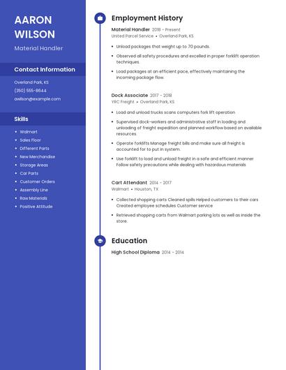 Resume example 5