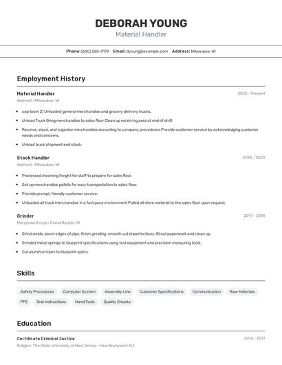 Resume example 2