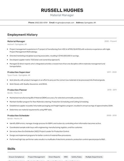 Resume example 2