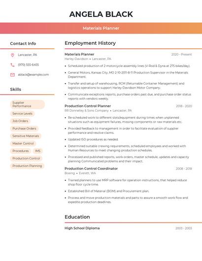Resume example 3