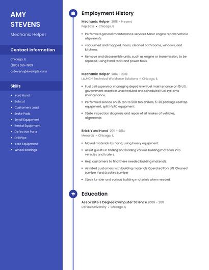 Resume example 5