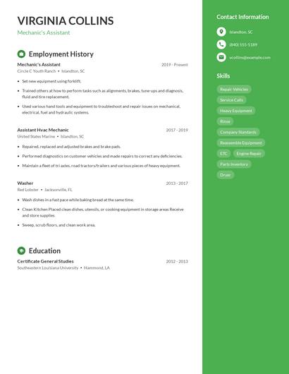 Resume example 4