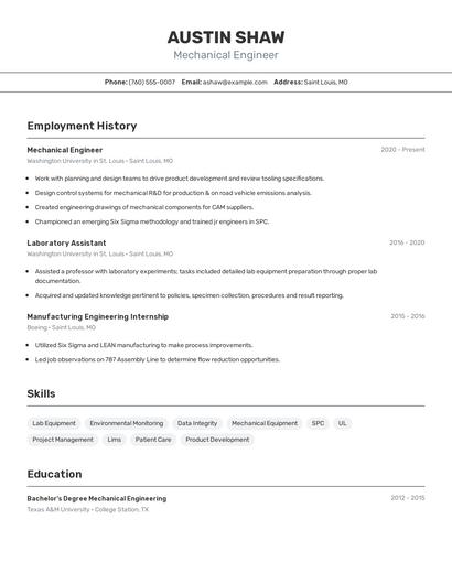 Resume example 2