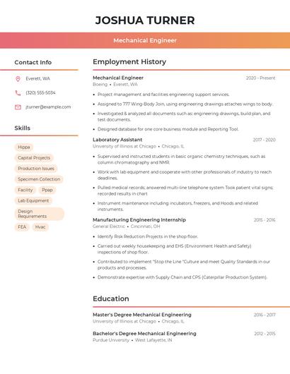 Resume example 3