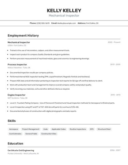 Resume example 2