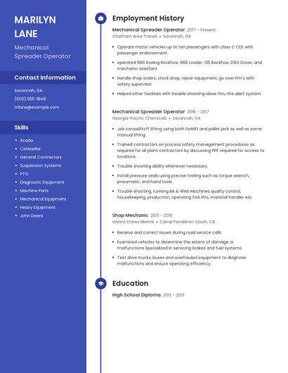 Resume example 4