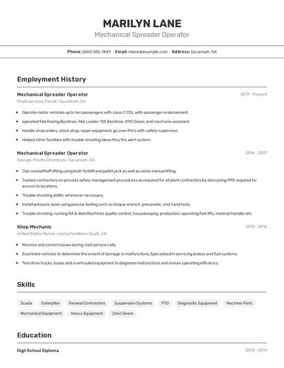 Resume example 2