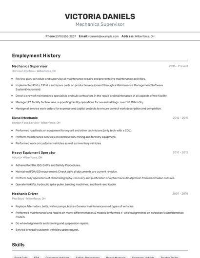 Resume example 2