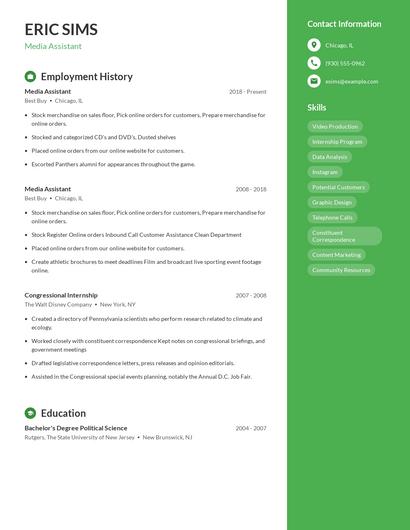 Resume example 4