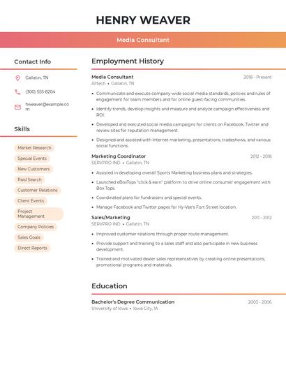 Media Consultant Resume