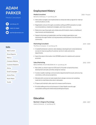 Media Consultant Resume