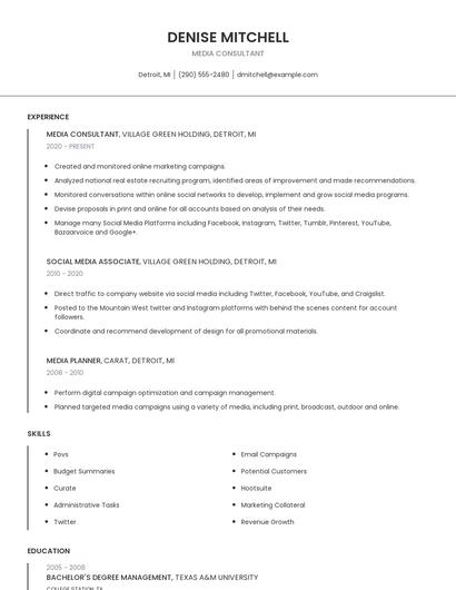 Media Consultant Resume