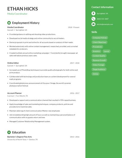 Resume example 5