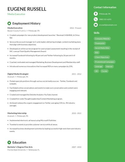 Media Executive Resume
