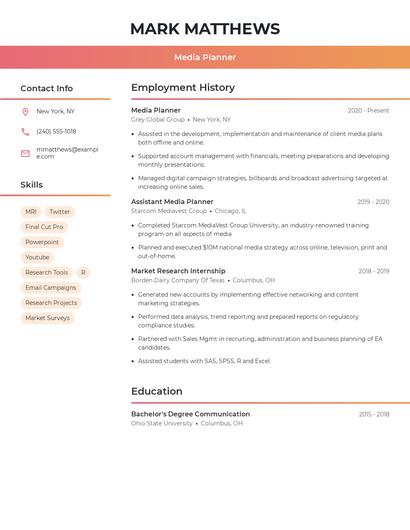 Resume example 3
