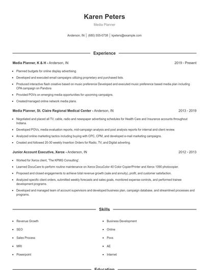 Resume example 1