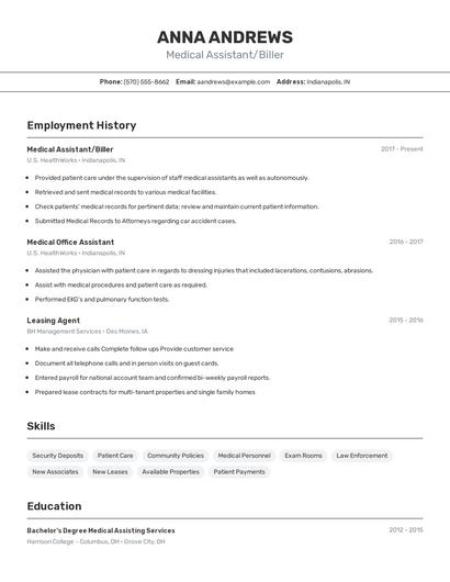 Resume example 2