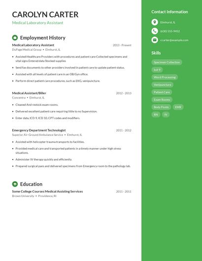 Resume example 4
