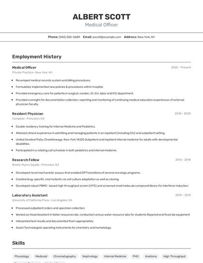 Resume example 2