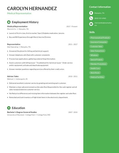 Resume example 4